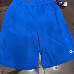 Champion Men's Blue Athletic Shorts
